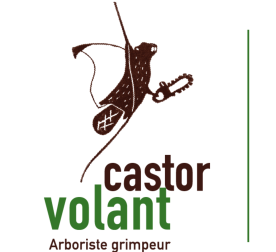 castor-volant_signature2 (1)-1